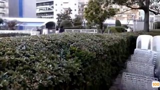 体验区试看120秒十八禁